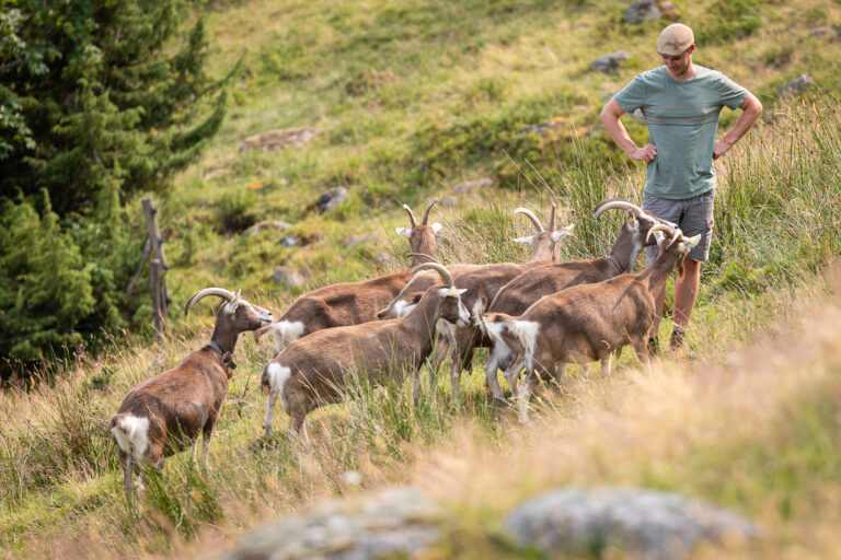 Ankündigung: Exkursionen „Landnutzung und biologische Vielfalt“ im Südschwarzwald
